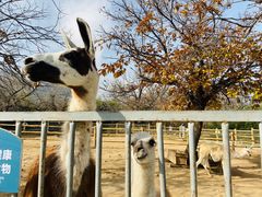 -西安秦岭野生动物园
