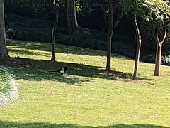 -杭州城北体育公园