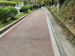 -凤岗南门山森林公园