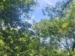 -兴福老面馆(寺路街店)