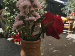 -海韵人家.海景花园经典云南菜(双廊店)