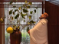 -太极禅苑