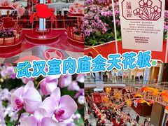 -武汉荟聚