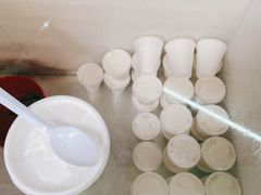 -洪馨椰子