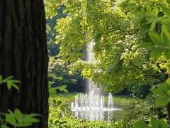 -上海共青森林公园