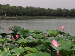 -素心小筑(后沙裕镇店)