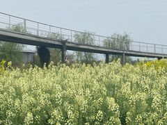 -中国天府农业博览园