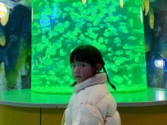 -台州海洋世界