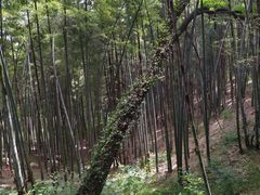 -采石矶景区