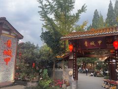 -青城甲(青城山店)
