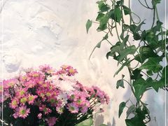 -Apollo·西班牙小酒馆(安福路店)