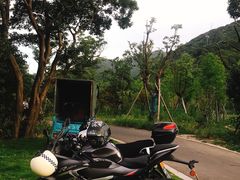 -北仑森林植物园