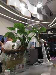 -MYYF SALON烫发染发