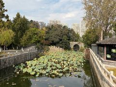 -水绘园