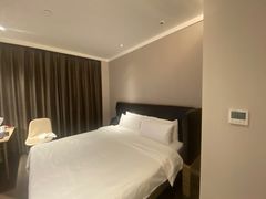 -汉庭(合肥火车南站北广场店)