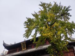 -上海白云观