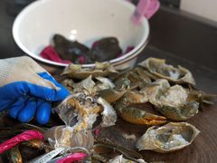 -辣螃铠盆盆蟹大排档(海昌店)