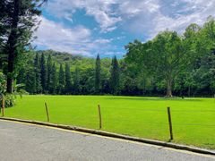 -深圳仙湖植物园
