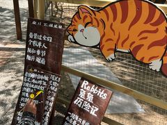 -沂蒙山旅游区云蒙景区(蒙山国家森林公园)