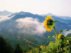 -石潭村