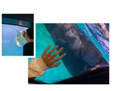 -青岛海底世界-水族馆