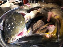 鸭绿江冷水鱼-金明姬铁锅炖(东坝店)