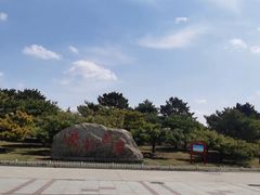 -塘沽森林公园