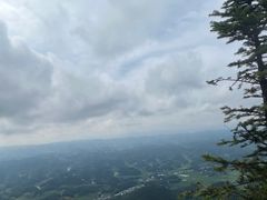 -齐岳山