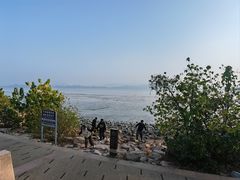-深圳湾公园(南山区)