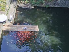 -千岛湖东南湖区