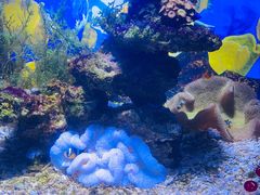 -常州海昌海洋探索馆