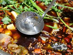 -味之绝热血美蛙鱼火锅(中坝店)