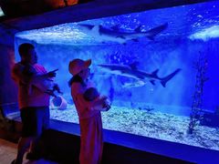 -太平洋海底世界