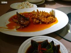 桂鱼&nbsp;可怜伐&nbsp;噶少-新南华大酒店(广中店)