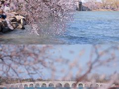 -颐和园