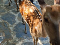 -南戴河国际娱乐中心