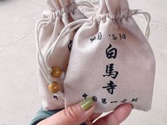 -洛阳白马寺