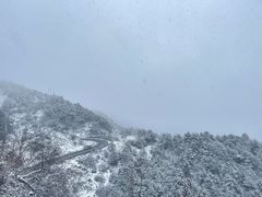 -茂盛小吃(蓝田店)