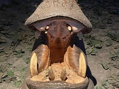 -大连自然博物馆