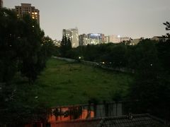 -达美乐比萨(东新路店)