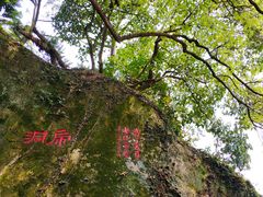 -青芝山风景名胜区