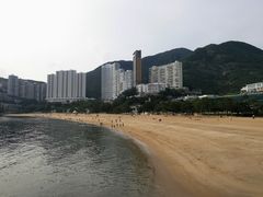 -新记车仔面