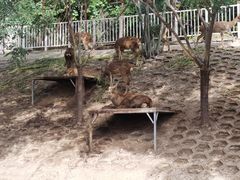 -北京鹿世界主题园