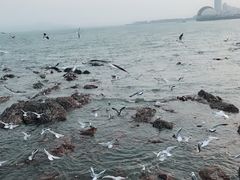 -肯德基(太原龙湖店)