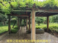 -徐家汇源景区-衡山公园