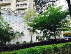 点击看大图 -挪娅婚纱摄影皇家会所
