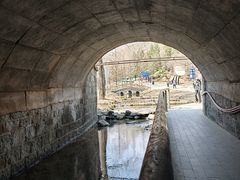 -白水寺森林公园