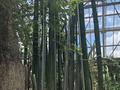 -南山植物园