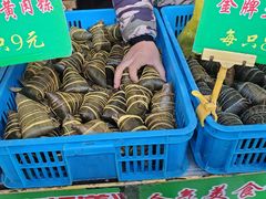 -召稼楼古镇