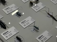 -四川大学博物馆